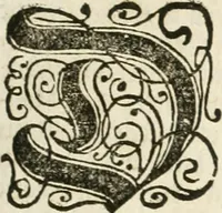 An illustration from Vollständiges Diarium von den merckwürdigsten Begebenheiten die sich vor, in und nach der höchst-beglückten Wahl und Crönung des allerdurchlauchtigsten, grossmächtigsten und unüberwindlichsten Fürsten und Herrn, Herrn Carls des VII., erwehlten Römischen Kaysers ... im gantzen Heil. Röm. Reich, und sonderlich in dieser freyen Reichs- und Wahl-Stadt Franckfurt am Mayn zugetragen : nebst umständlicher Beschreibung der Ein- und Aufzüge, Freuden-Feste, und übrigen feyerlichen Handlungen, sammt vielen Urkunden, Portraits, und andern Kupferstichen : auch einem Anhang von Beylagen, und ausführlichem Register .. (1742)