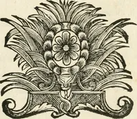 An illustration from Vollständiges Diarium von den merckwürdigsten Begebenheiten die sich vor, in und nach der höchst-beglückten Wahl und Crönung des allerdurchlauchtigsten, grossmächtigsten und unüberwindlichsten Fürsten und Herrn, Herrn Carls des VII., erwehlten Römischen Kaysers ... im gantzen Heil. Röm. Reich, und sonderlich in dieser freyen Reichs- und Wahl-Stadt Franckfurt am Mayn zugetragen : nebst umständlicher Beschreibung der Ein- und Aufzüge, Freuden-Feste, und übrigen feyerlichen Handlungen, sammt vielen Urkunden, Portraits, und andern Kupferstichen : auch einem Anhang von Beylagen, und ausführlichem Register .. (1742)