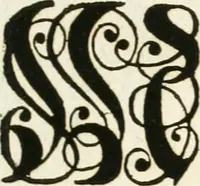An illustration from Vollständiges Diarium von den merckwürdigsten Begebenheiten die sich vor, in und nach der höchst-beglückten Wahl und Crönung des allerdurchlauchtigsten, grossmächtigsten und unüberwindlichsten Fürsten und Herrn, Herrn Carls des VII., erwehlten Römischen Kaysers ... im gantzen Heil. Röm. Reich, und sonderlich in dieser freyen Reichs- und Wahl-Stadt Franckfurt am Mayn zugetragen : nebst umständlicher Beschreibung der Ein- und Aufzüge, Freuden-Feste, und übrigen feyerlichen Handlungen, sammt vielen Urkunden, Portraits, und andern Kupferstichen : auch einem Anhang von Beylagen, und ausführlichem Register .. (1742)