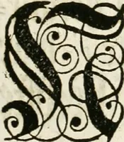 An illustration from Vollständiges Diarium von den merckwürdigsten Begebenheiten die sich vor, in und nach der höchst-beglückten Wahl und Crönung des allerdurchlauchtigsten, grossmächtigsten und unüberwindlichsten Fürsten und Herrn, Herrn Carls des VII., erwehlten Römischen Kaysers ... im gantzen Heil. Röm. Reich, und sonderlich in dieser freyen Reichs- und Wahl-Stadt Franckfurt am Mayn zugetragen : nebst umständlicher Beschreibung der Ein- und Aufzüge, Freuden-Feste, und übrigen feyerlichen Handlungen, sammt vielen Urkunden, Portraits, und andern Kupferstichen : auch einem Anhang von Beylagen, und ausführlichem Register .. (1742)