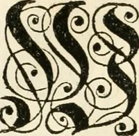 An illustration from Vollständiges Diarium von den merckwürdigsten Begebenheiten die sich vor, in und nach der höchst-beglückten Wahl und Crönung des allerdurchlauchtigsten, grossmächtigsten und unüberwindlichsten Fürsten und Herrn, Herrn Carls des VII., erwehlten Römischen Kaysers ... im gantzen Heil. Röm. Reich, und sonderlich in dieser freyen Reichs- und Wahl-Stadt Franckfurt am Mayn zugetragen : nebst umständlicher Beschreibung der Ein- und Aufzüge, Freuden-Feste, und übrigen feyerlichen Handlungen, sammt vielen Urkunden, Portraits, und andern Kupferstichen : auch einem Anhang von Beylagen, und ausführlichem Register .. (1742)