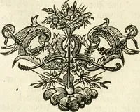 An illustration from Vollständiges Diarium von den merckwürdigsten Begebenheiten die sich vor, in und nach der höchst-beglückten Wahl und Crönung des allerdurchlauchtigsten, grossmächtigsten und unüberwindlichsten Fürsten und Herrn, Herrn Carls des VII., erwehlten Römischen Kaysers ... im gantzen Heil. Röm. Reich, und sonderlich in dieser freyen Reichs- und Wahl-Stadt Franckfurt am Mayn zugetragen : nebst umständlicher Beschreibung der Ein- und Aufzüge, Freuden-Feste, und übrigen feyerlichen Handlungen, sammt vielen Urkunden, Portraits, und andern Kupferstichen : auch einem Anhang von Beylagen, und ausführlichem Register .. (1742)