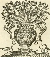 An illustration from Vollständiges Diarium von den merckwürdigsten Begebenheiten die sich vor, in und nach der höchst-beglückten Wahl und Crönung des allerdurchlauchtigsten, grossmächtigsten und unüberwindlichsten Fürsten und Herrn, Herrn Carls des VII., erwehlten Römischen Kaysers ... im gantzen Heil. Röm. Reich, und sonderlich in dieser freyen Reichs- und Wahl-Stadt Franckfurt am Mayn zugetragen : nebst umständlicher Beschreibung der Ein- und Aufzüge, Freuden-Feste, und übrigen feyerlichen Handlungen, sammt vielen Urkunden, Portraits, und andern Kupferstichen : auch einem Anhang von Beylagen, und ausführlichem Register .. (1742)