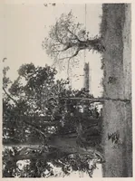 An illustration from Vom Kongo zum Ubangi; meine zweite Reise in Mittelafrika (1910)