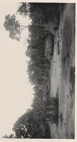 An illustration from Vom Kongo zum Ubangi; meine zweite Reise in Mittelafrika (1910)