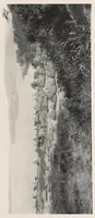 An illustration from Vom Kongo zum Ubangi; meine zweite Reise in Mittelafrika (1910)