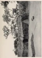 An illustration from Vom Kongo zum Ubangi; meine zweite Reise in Mittelafrika (1910)