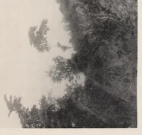 An illustration from Vom Kongo zum Ubangi; meine zweite Reise in Mittelafrika (1910)