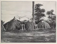 An illustration from Vom Kongo zum Ubangi; meine zweite Reise in Mittelafrika (1910)