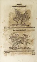 An illustration from Von der Gestüterey, das ist, ein grundtliche Beschreibung wie vnd wa man ein Gestüt von guten edlen Kriegsrossen auffrichten, vnderhalten, vnd wie man die jungen von einem Jar zu dem andern erziehen soll, biss sie einem Bereiter zum abrichten zuvndergeben, vnd so sie abgericht in langwiriger Gesundheit zu erhalten ... (1611)