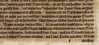 An illustration from Von der Gestüterey, das ist, ein grundtliche Beschreibung wie vnd wa man ein Gestüt von guten edlen Kriegsrossen auffrichten, vnderhalten, vnd wie man die jungen von einem Jar zu dem andern erziehen soll, biss sie einem Bereiter zum abrichten zuvndergeben, vnd so sie abgericht in langwiriger Gesundheit zu erhalten ... (1611)