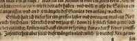 An illustration from Von der Gestüterey, das ist, ein grundtliche Beschreibung wie vnd wa man ein Gestüt von guten edlen Kriegsrossen auffrichten, vnderhalten, vnd wie man die jungen von einem Jar zu dem andern erziehen soll, biss sie einem Bereiter zum abrichten zuvndergeben, vnd so sie abgericht in langwiriger Gesundheit zu erhalten ... (1611)