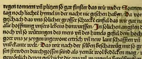 An illustration from Von der neu gefunden Region die wol ein Welt genent mag werden, durch den cristenlichen Künig von Portigal, wunderbarlich erfunden (1506)