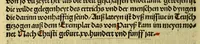 An illustration from Von der neu gefunden Region die wol ein Welt genent mag werden, durch den cristenlichen Künig von Portigal, wunderbarlich erfunden (1506)