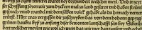 An illustration from Von der new gefunnde[n] Region die wol ein Welt genennt mag werden, durch den cristenlichen Künig von Portugall, wunnderbarlich erfunden (1506)
