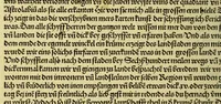An illustration from Von der new gefunnde[n] Region die wol ein Welt genennt mag werden, durch den cristenlichen Künig von Portugall, wunnderbarlich erfunden (1506)