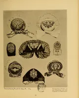 An illustration from Von der Wiege bis zum Grabe : ein Beitrag zur sächsischen Volkskunst (1900)