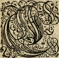 An illustration from Von Himmeln entzündete und, durch allgemeinen Zuruff der Erde, sich himmelwerts erschwingende Frolockungs-Flammen zu höchstfeyerlichster Begängnüss dess hochzeitlichen Beylagers, bey der allerdurchleuchtigsten Majestäten Leopoldi I. Römischen Kaysers ... und Margaritae geborner Infantin von Hispanien ... : vollzogen am Fest der Empfängnüss Mariae den 8. Decemb. st. n. 1666 dess Abends, nächst vor der Kayserl. Burg, ausserhalb der Statt Wien, an dem Graben, und der neben selbigem Thor, daran gelegnen Pastey : auffs deutlichste beschrieben, und mit unterschiedlichen zum Werck dienenden Kupfferstücken gezieret und gedruckt (1667)