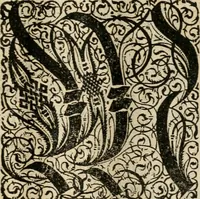 An illustration from Von Himmeln entzündete und, durch allgemeinen Zuruff der Erde, sich himmelwerts erschwingende Frolockungs-Flammen zu höchstfeyerlichster Begängnüss dess hochzeitlichen Beylagers, bey der allerdurchleuchtigsten Majestäten Leopoldi I. Römischen Kaysers ... und Margaritae geborner Infantin von Hispanien ... : vollzogen am Fest der Empfängnüss Mariae den 8. Decemb. st. n. 1666 dess Abends, nächst vor der Kayserl. Burg, ausserhalb der Statt Wien, an dem Graben, und der neben selbigem Thor, daran gelegnen Pastey : auffs deutlichste beschrieben, und mit unterschiedlichen zum Werck dienenden Kupfferstücken gezieret und gedruckt (1667)