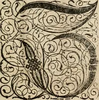 An illustration from Von Himmeln entzündete und, durch allgemeinen Zuruff der Erde, sich himmelwerts erschwingende Frolockungs-Flammen zu höchstfeyerlichster Begängnüss dess hochzeitlichen Beylagers, bey der allerdurchleuchtigsten Majestäten Leopoldi I. Römischen Kaysers ... und Margaritae geborner Infantin von Hispanien ... : vollzogen am Fest der Empfängnüss Mariae den 8. Decemb. st. n. 1666 dess Abends, nächst vor der Kayserl. Burg, ausserhalb der Statt Wien, an dem Graben, und der neben selbigem Thor, daran gelegnen Pastey : auffs deutlichste beschrieben, und mit unterschiedlichen zum Werck dienenden Kupfferstücken gezieret und gedruckt (1667)