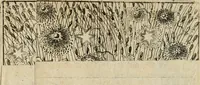 An illustration from Von Himmeln entzündete und, durch allgemeinen Zuruff der Erde, sich himmelwerts erschwingende Frolockungs-Flammen zu höchstfeyerlichster Begängnüss dess hochzeitlichen Beylagers, bey der allerdurchleuchtigsten Majestäten Leopoldi I. Römischen Kaysers ... und Margaritae geborner Infantin von Hispanien ... : vollzogen am Fest der Empfängnüss Mariae den 8. Decemb. st. n. 1666 dess Abends, nächst vor der Kayserl. Burg, ausserhalb der Statt Wien, an dem Graben, und der neben selbigem Thor, daran gelegnen Pastey : auffs deutlichste beschrieben, und mit unterschiedlichen zum Werck dienenden Kupfferstücken gezieret und gedruckt (1667)