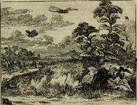 An illustration from Het voorhof der ziele : behangen met leerzaeme prenten en zinnebeelden (1698)