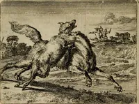 An illustration from Het voorhof der ziele : behangen met leerzaeme prenten en zinnebeelden (1698)