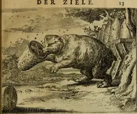 Picture 10 of 64 from Het voorhof der ziele : behangen met leerzaeme prenten en zinnebeelden (1698), leaf 34