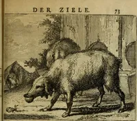 An illustration from Het voorhof der ziele : behangen met leerzaeme prenten en zinnebeelden (1698)