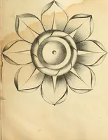 An illustration from Vorlegeblätter zum Zeichnenunterricht in Verzierungen für Volks- und Gewerbschulen (1844)