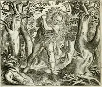 An illustration from Vorstelijcke warande der dieren : waer in de zeden-rijcke philosophie, poëtisch, morael, en historiael, vermakelijck en treffelijck wort voorgestelt : mit exempelen uyt de oude historien, in prose : ende uytleggingen, in rijm verklaert (1682)