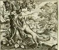 Picture 53 of 128 from Vorstelijcke warande der dieren : waer in de zeden-rijcke philosophie, poëtisch, morael, en historiael, vermakelijck en treffelijck wort voorgestelt : mit exempelen uyt de oude historien, in prose : ende uytleggingen, in rijm verklaert (1682), leaf 113