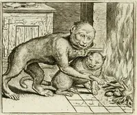 An illustration from Vorstelijcke warande der dieren : waer in de zeden-rijcke philosophie, poëtisch, morael, en historiael, vermakelijck en treffelijck wort voorgestelt : mit exempelen uyt de oude historien, in prose : ende uytleggingen, in rijm verklaert (1682)