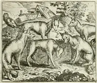 Picture 57 of 128 from Vorstelijcke warande der dieren : waer in de zeden-rijcke philosophie, poëtisch, morael, en historiael, vermakelijck en treffelijck wort voorgestelt : mit exempelen uyt de oude historien, in prose : ende uytleggingen, in rijm verklaert (1682), leaf 121