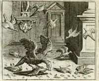 An illustration from Vorstelijcke warande der dieren : waer in de zeden-rijcke philosophie, poëtisch, morael, en historiael, vermakelijck en treffelijck wort voorgestelt : mit exempelen uyt de oude historien, in prose : ende uytleggingen, in rijm verklaert (1682)