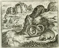 An illustration from Vorstelijcke warande der dieren : waer in de zeden-rijcke philosophie, poëtisch, morael, en historiael, vermakelijck en treffelijck wort voorgestelt : mit exempelen uyt de oude historien, in prose : ende uytleggingen, in rijm verklaert (1682)