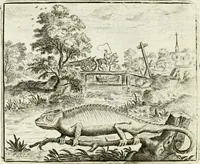 An illustration from Vorstelijcke warande der dieren : waer in de zeden-rijcke philosophie, poëtisch, morael, en historiael, vermakelijck en treffelijck wort voorgestelt : mit exempelen uyt de oude historien, in prose : ende uytleggingen, in rijm verklaert (1682)