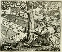 Picture 69 of 128 from Vorstelijcke warande der dieren : waer in de zeden-rijcke philosophie, poëtisch, morael, en historiael, vermakelijck en treffelijck wort voorgestelt : mit exempelen uyt de oude historien, in prose : ende uytleggingen, in rijm verklaert (1682), leaf 145