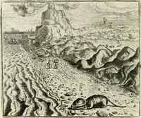 Picture 71 of 128 from Vorstelijcke warande der dieren : waer in de zeden-rijcke philosophie, poëtisch, morael, en historiael, vermakelijck en treffelijck wort voorgestelt : mit exempelen uyt de oude historien, in prose : ende uytleggingen, in rijm verklaert (1682), leaf 149