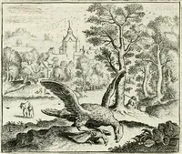 Picture 74 of 128 from Vorstelijcke warande der dieren : waer in de zeden-rijcke philosophie, poëtisch, morael, en historiael, vermakelijck en treffelijck wort voorgestelt : mit exempelen uyt de oude historien, in prose : ende uytleggingen, in rijm verklaert (1682), leaf 155