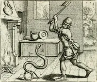 Picture 75 of 128 from Vorstelijcke warande der dieren : waer in de zeden-rijcke philosophie, poëtisch, morael, en historiael, vermakelijck en treffelijck wort voorgestelt : mit exempelen uyt de oude historien, in prose : ende uytleggingen, in rijm verklaert (1682), leaf 157