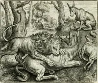 An illustration from Vorstelijcke warande der dieren : waer in de zeden-rijcke philosophie, poëtisch, morael, en historiael, vermakelijck en treffelijck wort voorgestelt : mit exempelen uyt de oude historien, in prose : ende uytleggingen, in rijm verklaert (1682)