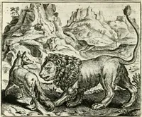 An illustration from Vorstelijcke warande der dieren : waer in de zeden-rijcke philosophie, poëtisch, morael, en historiael, vermakelijck en treffelijck wort voorgestelt : mit exempelen uyt de oude historien, in prose : ende uytleggingen, in rijm verklaert (1682)