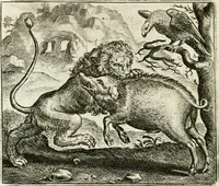 An illustration from Vorstelijcke warande der dieren : waer in de zeden-rijcke philosophie, poëtisch, morael, en historiael, vermakelijck en treffelijck wort voorgestelt : mit exempelen uyt de oude historien, in prose : ende uytleggingen, in rijm verklaert (1682)