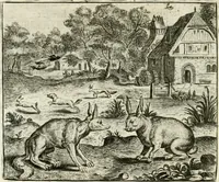 An illustration from Vorstelijcke warande der dieren : waer in de zeden-rijcke philosophie, poëtisch, morael, en historiael, vermakelijck en treffelijck wort voorgestelt : mit exempelen uyt de oude historien, in prose : ende uytleggingen, in rijm verklaert (1682)