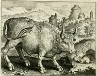 An illustration from Vorstelijcke warande der dieren : waer in de zeden-rijcke philosophie, poëtisch, morael, en historiael, vermakelijck en treffelijck wort voorgestelt : mit exempelen uyt de oude historien, in prose : ende uytleggingen, in rijm verklaert (1682)