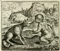 An illustration from Vorstelijcke warande der dieren : waer in de zeden-rijcke philosophie, poëtisch, morael, en historiael, vermakelijck en treffelijck wort voorgestelt : mit exempelen uyt de oude historien, in prose : ende uytleggingen, in rijm verklaert (1682)
