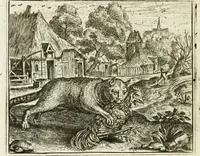 An illustration from Vorstelijcke warande der dieren : waer in de zeden-rijcke philosophie, poëtisch, morael, en historiael, vermakelijck en treffelijck wort voorgestelt : mit exempelen uyt de oude historien, in prose : ende uytleggingen, in rijm verklaert (1682)