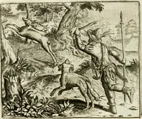 An illustration from Vorstelijcke warande der dieren : waer in de zeden-rijcke philosophie, poëtisch, morael, en historiael, vermakelijck en treffelijck wort voorgestelt : mit exempelen uyt de oude historien, in prose : ende uytleggingen, in rijm verklaert (1682)
