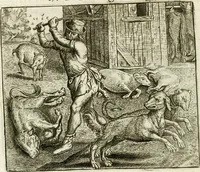 An illustration from Vorstelijcke warande der dieren : waer in de zeden-rijcke philosophie, poëtisch, morael, en historiael, vermakelijck en treffelijck wort voorgestelt : mit exempelen uyt de oude historien, in prose : ende uytleggingen, in rijm verklaert (1682)